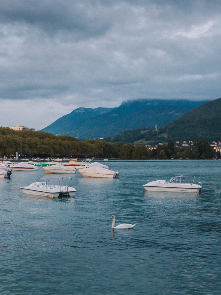 Bateaux et cygne sur le lac d’Annecy