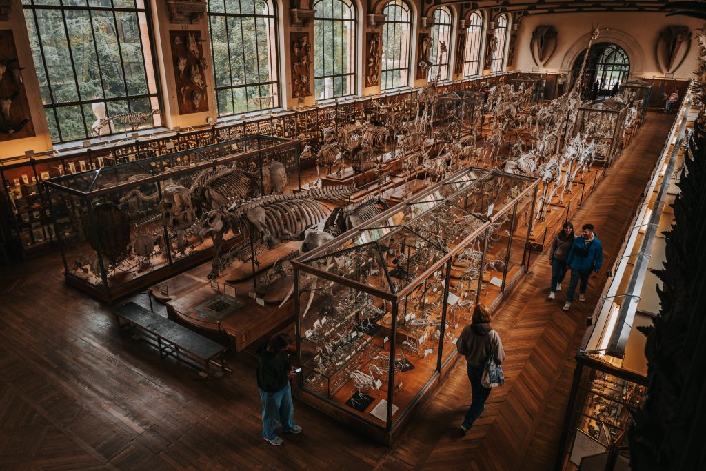 Galerie d’anatomie comparée à Paris