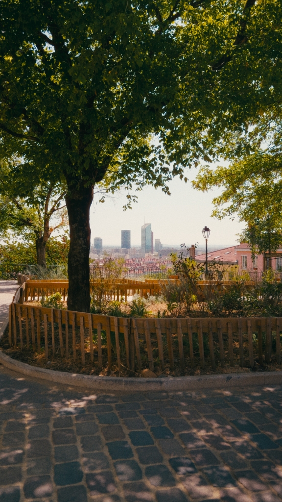 Image du Reel Clerea Invest : jardin arboré et vue sur les tours de la ville